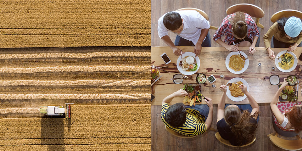 foor from agriculture to fork